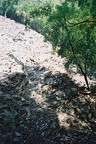 F1000024