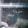 F1000028