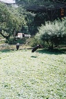 F1000032