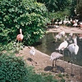 F1000033.jpg