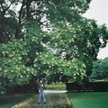 F1010012