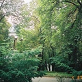 F1010019