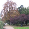 foto 061