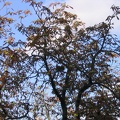 foto 080
