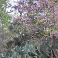 Canada Park 003