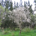 Canada Park 005