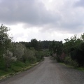 Canada Park 007