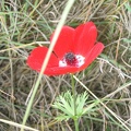 Canada Park 014