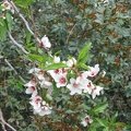 Canada Park 019