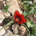 Canada Park 020