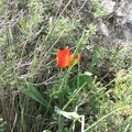 Canada Park 022