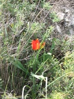 Canada Park 022