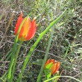 Canada Park 024