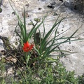 Canada Park 025