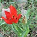 Canada Park 033