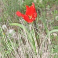 Canada Park 036