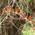 Canada Park 055