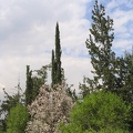 Canada Park 056