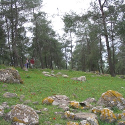 Givat Ha-More