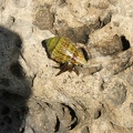 2005_0326Image0015