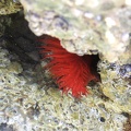 2005_0326Image0026