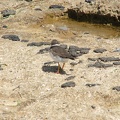 2005_0326Image0033