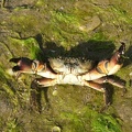 2005_0326Image0077