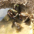 2005_0326Image0094