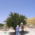 Beit Govrin 013