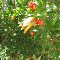 Beit Govrin 014