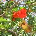 Beit Govrin 017