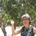 Beit Govrin 039
