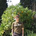 Upper Galilee 015