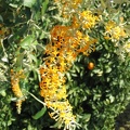 Upper Galilee 024