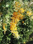 Upper Galilee 024