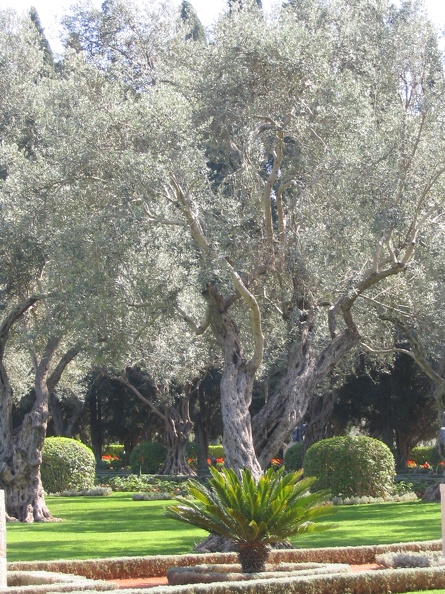 Upper Galilee 030