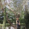 Upper Galilee 032