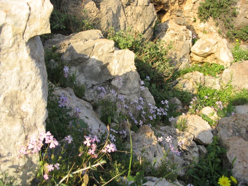 Upper Galilee 054
