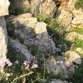 Upper Galilee 054