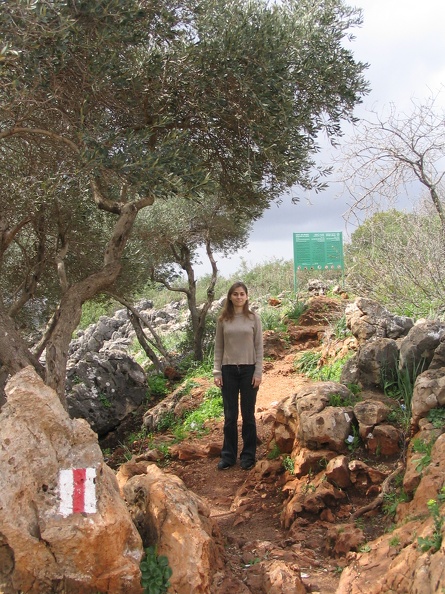 Upper Galilee 083