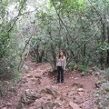 Upper Galilee 093