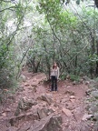 Upper Galilee 093