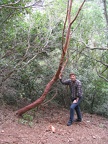 Upper Galilee 094