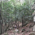 Upper Galilee 096