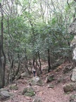 Upper Galilee 096