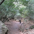 Upper Galilee 097