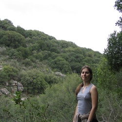 Forest Walk