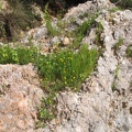 Upper Galilee 122