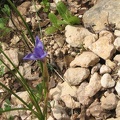Upper Galilee 126