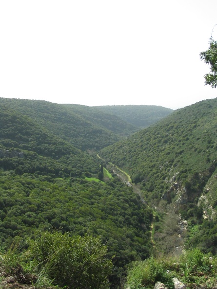 Upper Galilee 139
